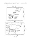 Derivatized Hyperbranched Polyglycerols diagram and image