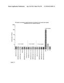 Derivatized Hyperbranched Polyglycerols diagram and image