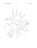 Derivatized Hyperbranched Polyglycerols diagram and image