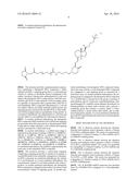 RNAi VITAMIN D CONJUGATES diagram and image