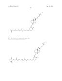 RNAi VITAMIN D CONJUGATES diagram and image