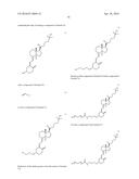 RNAi VITAMIN D CONJUGATES diagram and image