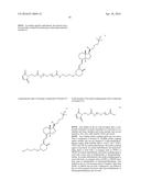 RNAi VITAMIN D CONJUGATES diagram and image