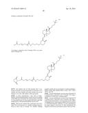 RNAi VITAMIN D CONJUGATES diagram and image