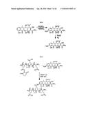 POLYMER DRUG CONJUGATES FOR THE TREATMENT OF AMYLOIDOSIS diagram and image