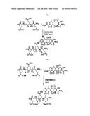 POLYMER DRUG CONJUGATES FOR THE TREATMENT OF AMYLOIDOSIS diagram and image