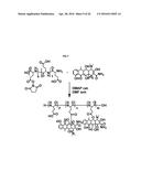 POLYMER DRUG CONJUGATES FOR THE TREATMENT OF AMYLOIDOSIS diagram and image