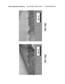 Polyelectrolyte Multilayer Films for Gas Separation and Purification diagram and image