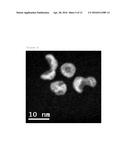 METAL NANOPARTICLES diagram and image