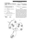 Surface Anti-Fouling Structure, Composition, and Method diagram and image