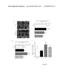 NOVEL N-3 IMMUNORESOLVENTS: STRUCTURES AND ACTIONS diagram and image