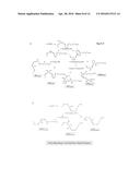 NOVEL N-3 IMMUNORESOLVENTS: STRUCTURES AND ACTIONS diagram and image