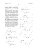 NOVEL N-3 IMMUNORESOLVENTS: STRUCTURES AND ACTIONS diagram and image