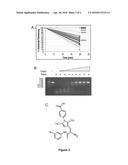 SMALL MOLECULE RNASE INHIBITORS AND METHODS OF USE diagram and image