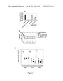 SMALL MOLECULE RNASE INHIBITORS AND METHODS OF USE diagram and image