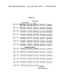 Anti-Sense Oligonucleotides Targeted Against Exon 9 of IL-23R-alpha Gene     and Method of Using Same to Induce Exon Skipping and to Treat     Inflammatory Bowel Diseases diagram and image