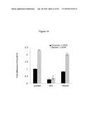 Anti-Sense Oligonucleotides Targeted Against Exon 9 of IL-23R-alpha Gene     and Method of Using Same to Induce Exon Skipping and to Treat     Inflammatory Bowel Diseases diagram and image