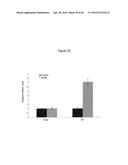 Anti-Sense Oligonucleotides Targeted Against Exon 9 of IL-23R-alpha Gene     and Method of Using Same to Induce Exon Skipping and to Treat     Inflammatory Bowel Diseases diagram and image