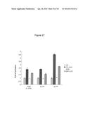 Anti-Sense Oligonucleotides Targeted Against Exon 9 of IL-23R-alpha Gene     and Method of Using Same to Induce Exon Skipping and to Treat     Inflammatory Bowel Diseases diagram and image