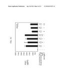 TREATMENT OF MAST CELL RELATED PATHOLOGIES diagram and image