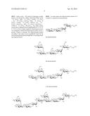 Synthetic Oligosaccharide Subunits Of The PSL Exopolysaccharide Of     Pseudomonas Aeruginosa And Uses Thereof diagram and image