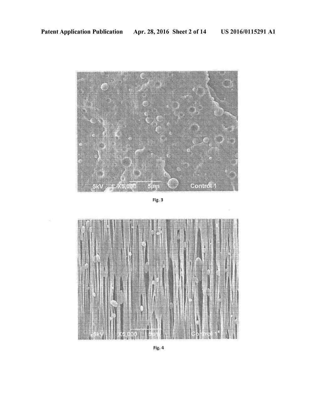 Polyolefin Material having a Low Density - diagram, schematic, and image 03