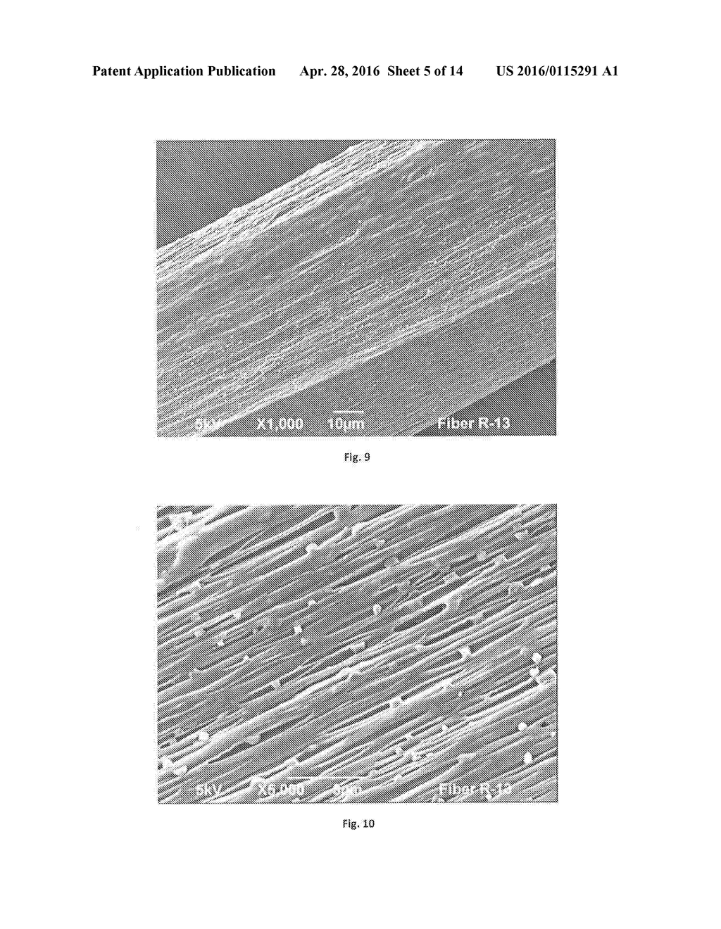Polyolefin Material having a Low Density - diagram, schematic, and image 06