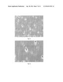 Polyolefin Material having a Low Density diagram and image