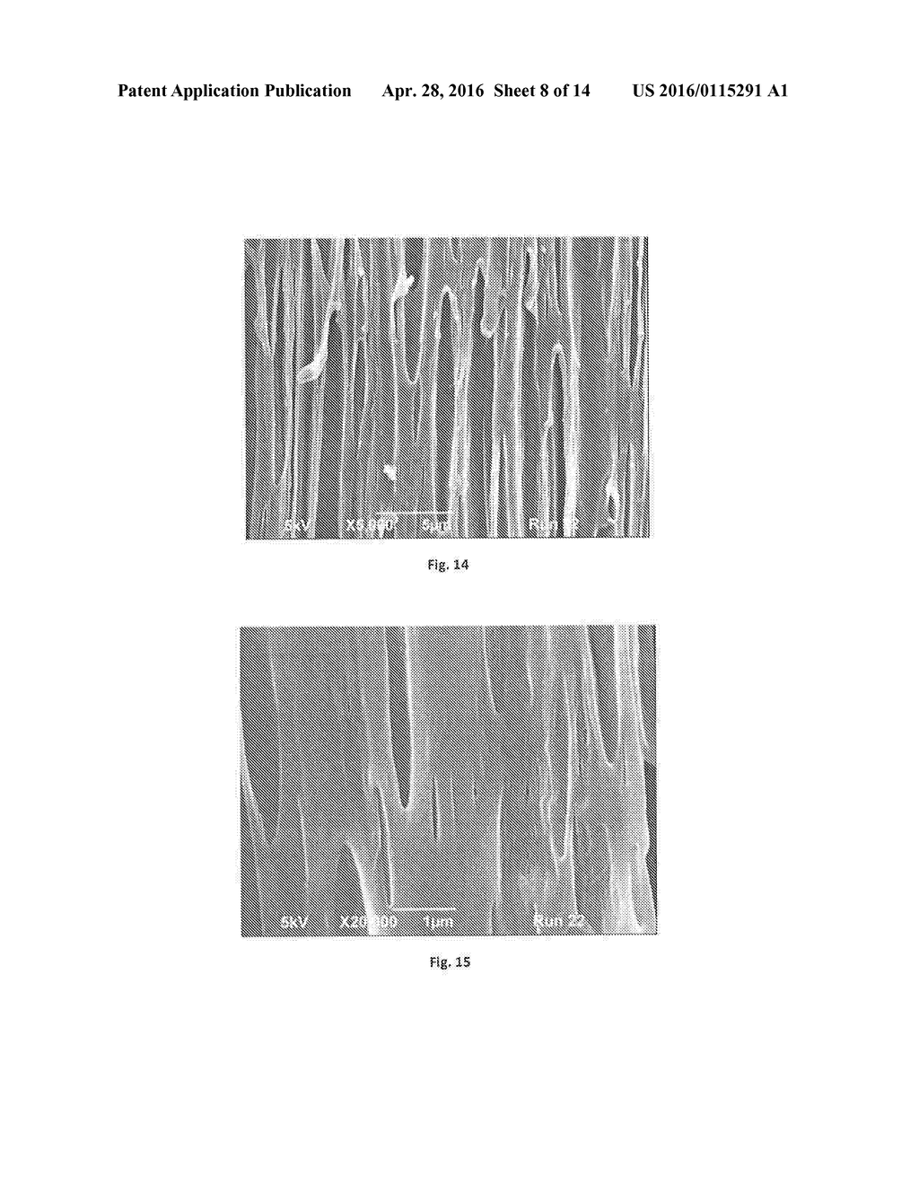 Polyolefin Material having a Low Density - diagram, schematic, and image 09