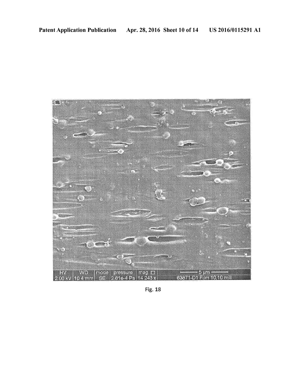 Polyolefin Material having a Low Density - diagram, schematic, and image 11