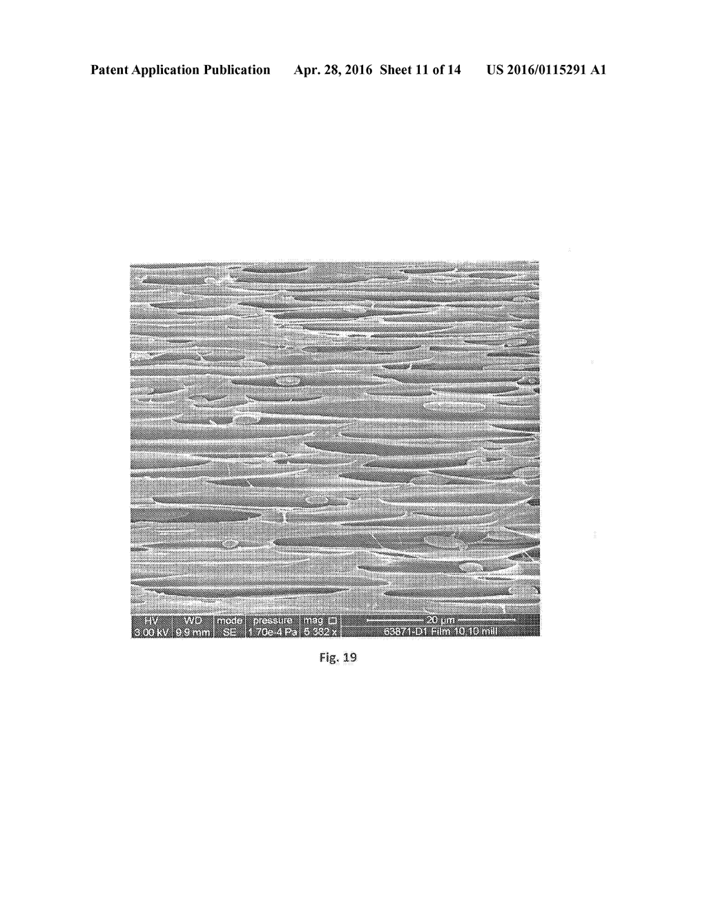 Polyolefin Material having a Low Density - diagram, schematic, and image 12