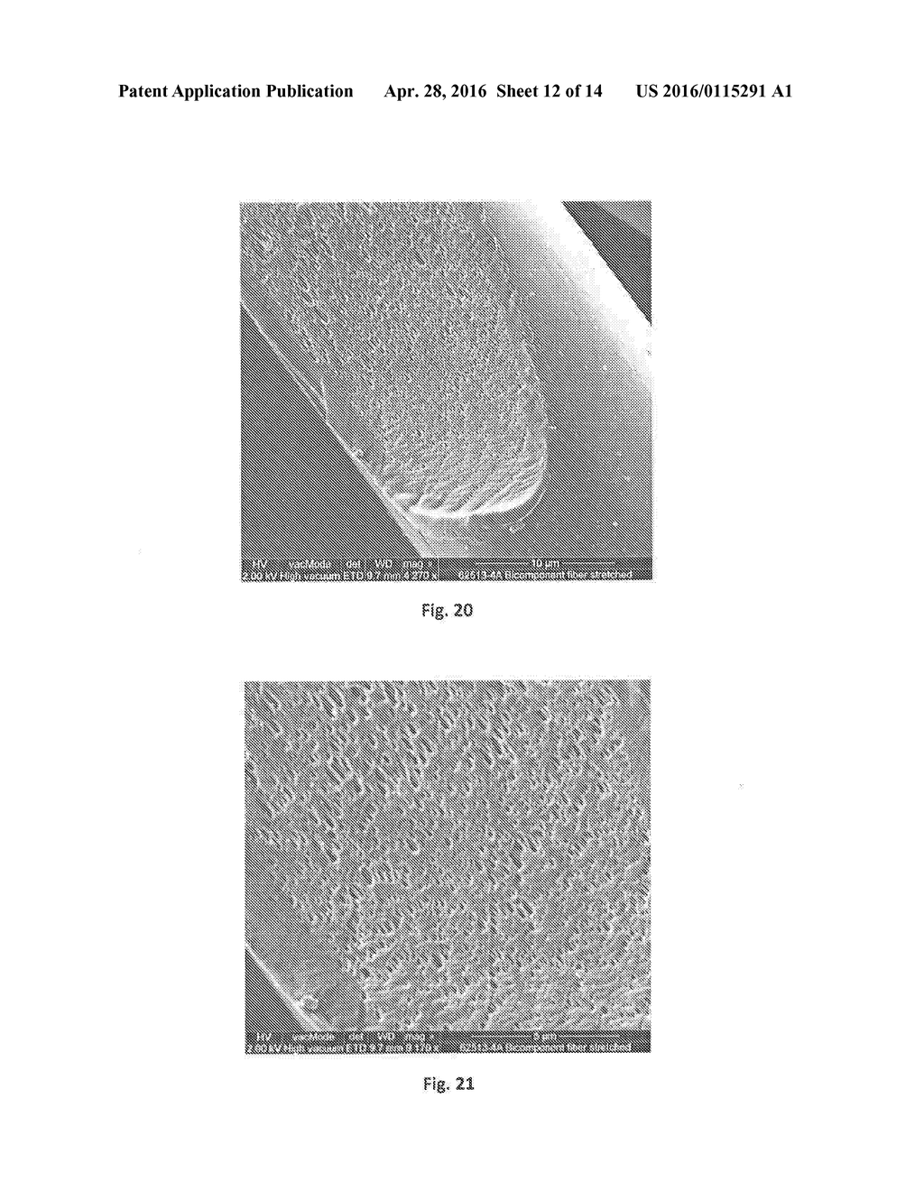 Polyolefin Material having a Low Density - diagram, schematic, and image 13