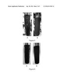 COMPOSITION AND METHOD FOR DISPERSING PARAFFINS IN CRUDE OILS diagram and image