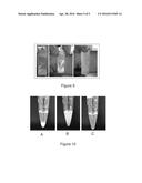 COMPOSITION AND METHOD FOR DISPERSING PARAFFINS IN CRUDE OILS diagram and image