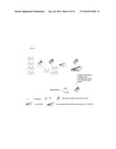 GUANINE CHEMILUMINESCENCE COMPOUND AND APPLICATIONS diagram and image