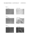 NOVEL GRAFT POLYMER, TEMPERATURE-RESPONSIVE SUBSTRATE FOR CELL CULTURE     USING THE SAME AND PRODUCTION METHOD THEREFOR, AS WELL AS LIQUID     CHROMATOGRAPHIC CARRIER HAVING THE NOVEL GRAFT POLYMER IMMOBILIZED     THEREON AND LIQUID CHROMATOGRAPHIC METHOD USING THE SAME diagram and image