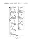 ISOLATION, EXPANSION AND USE OF CLONOGENIC ENDOTHELIAL PROGENITOR CELLS diagram and image