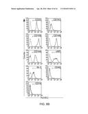 ISOLATION, EXPANSION AND USE OF CLONOGENIC ENDOTHELIAL PROGENITOR CELLS diagram and image