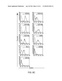 ISOLATION, EXPANSION AND USE OF CLONOGENIC ENDOTHELIAL PROGENITOR CELLS diagram and image