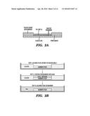 MULTI-LAYERED CELL CONSTRUCTS AND METHODS OF USE AND PRODUCTION USING     ENZYMATICALLY DEGRADABLE NATURAL POLYMERS diagram and image