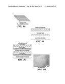 MULTI-LAYERED CELL CONSTRUCTS AND METHODS OF USE AND PRODUCTION USING     ENZYMATICALLY DEGRADABLE NATURAL POLYMERS diagram and image