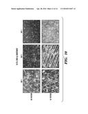 MULTI-LAYERED CELL CONSTRUCTS AND METHODS OF USE AND PRODUCTION USING     ENZYMATICALLY DEGRADABLE NATURAL POLYMERS diagram and image