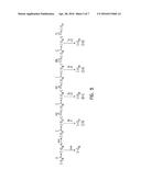 Mutant DNA Polymerases and Methods of Use diagram and image