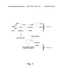 Bacterial Mutants with Improved Transformation Efficiency diagram and image