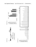 TRANSCRIPTIONAL GENE ACTIVATION diagram and image