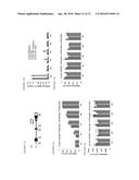 TRANSCRIPTIONAL GENE ACTIVATION diagram and image