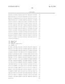 Sorghum Centromere Sequences and Minichromosomes diagram and image