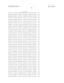 Sorghum Centromere Sequences and Minichromosomes diagram and image