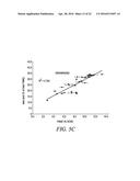 DGAT GENES FROM OLEAGINOUS ORGANISMS FOR INCREASED SEED STORAGE LIPID     PRODUCTION AND ALTERED FATTY ACID PROFILES IN OILSEED PLANTS diagram and image