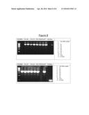 Direct Transfer of Polynucleotides Between Genomes diagram and image